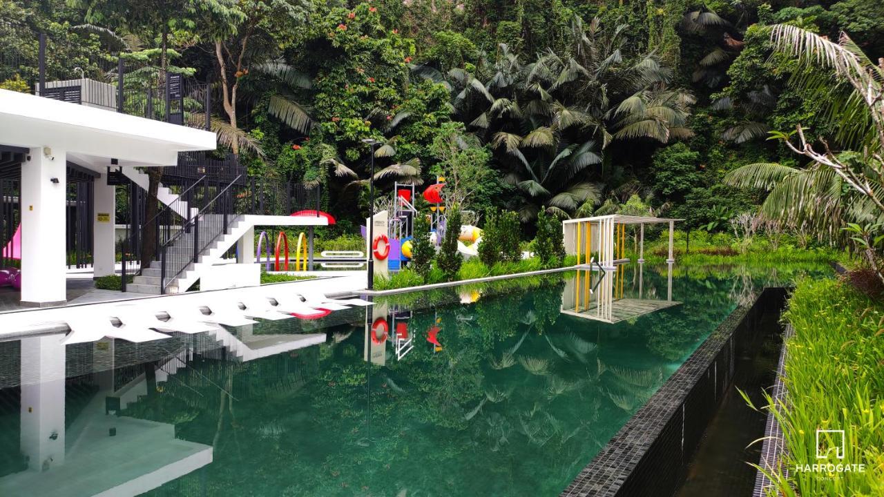 The Cove Luxury By Harrogate Concept Pangsapuri